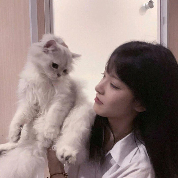 平田薰（饰 关原妙） - 山口珠理影片高清在线播放19 - 网络看视频